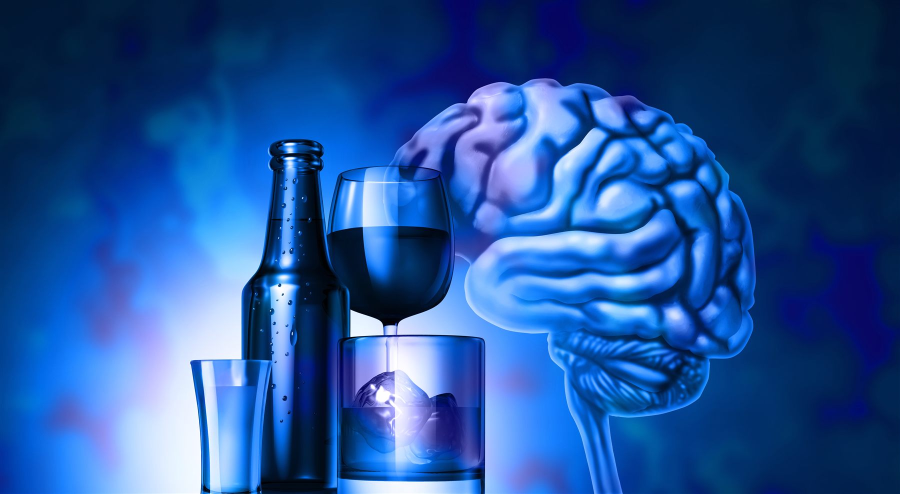 Alcohol and brain visualization for professional BAC simulation software